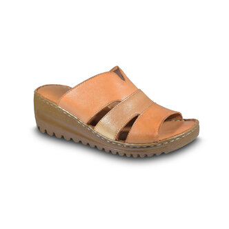 ARA 10217 RUDY